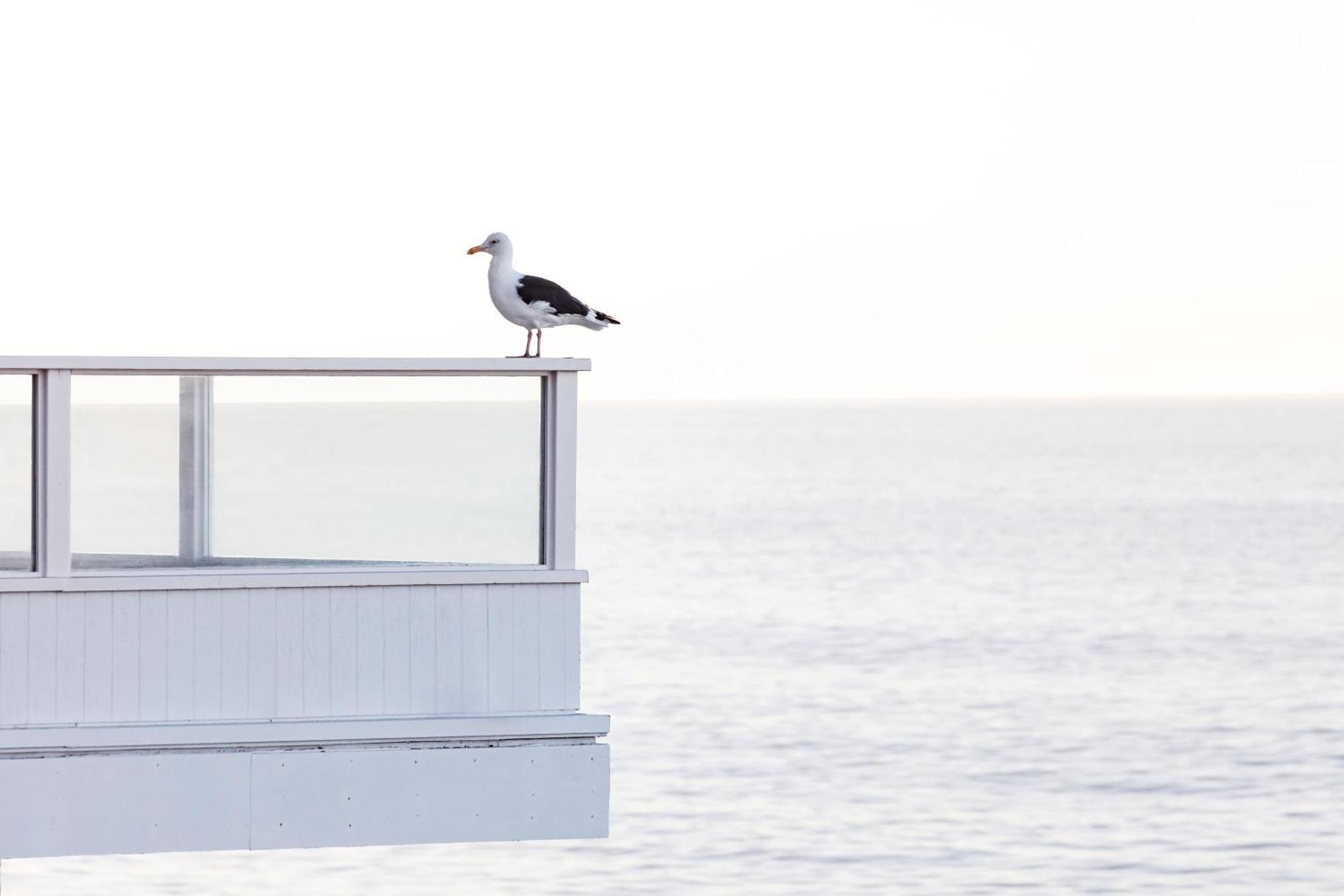Pacific Edge Hotel Laguna Beach Exterior foto